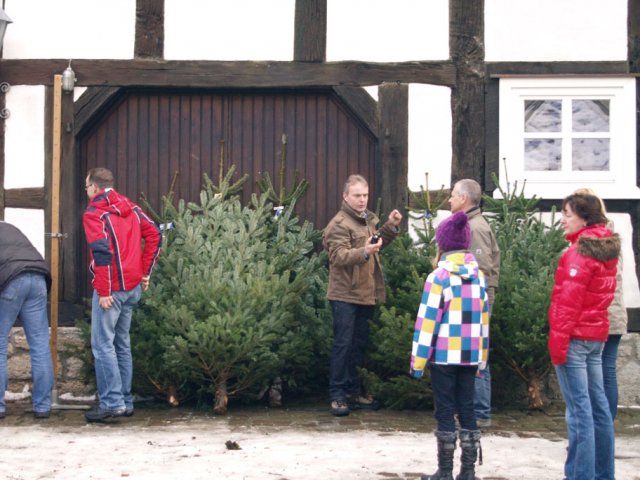 Weihnachtsbaumverkauf 2012